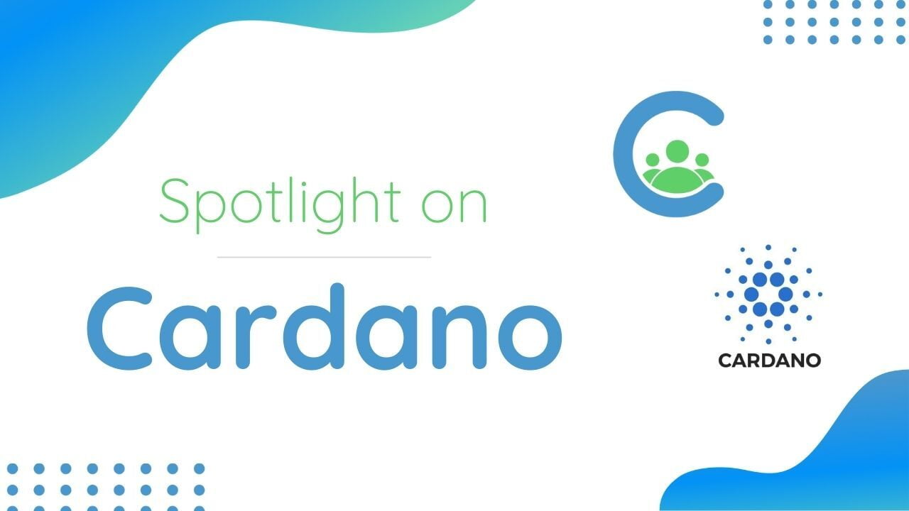 Spotlight on the cryptocurrency Cardano