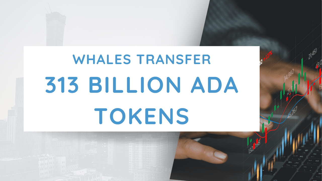Cardano's Remarkable Performance: Whales Transfer 313 Billion ADA Tokens in Astounding Move