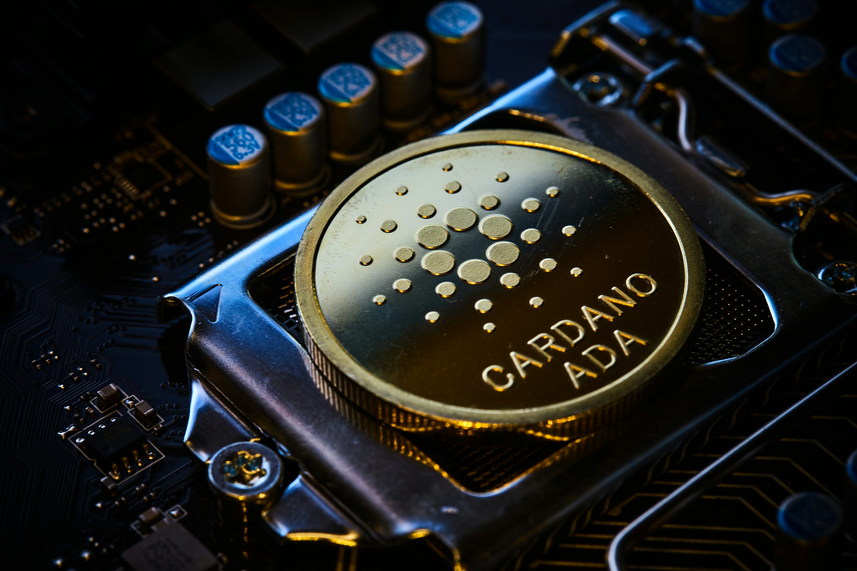 Cardano's Massive Gains: Latest ADA News in the Crypto World